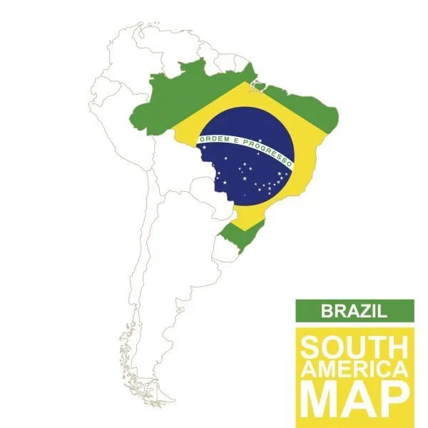 Açaí Liofilizado en Polvo BIO - 250g