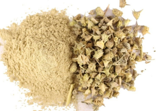 Tribulus Terrestris en Polvo BIO - 150g