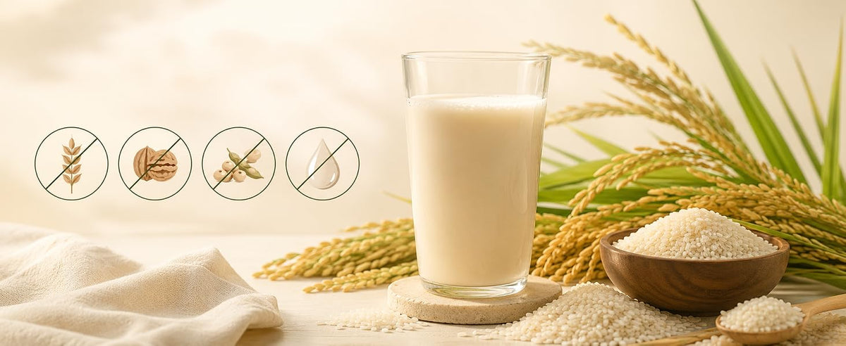 Leche de arroz en polvo sin lactosa, sin soja, sin gluten y sin frutos secos