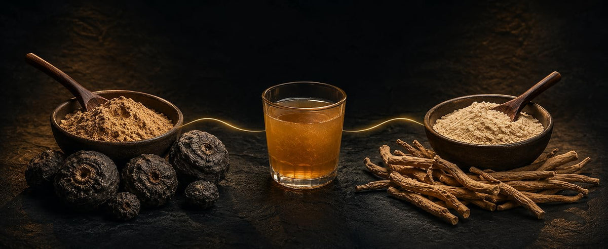 Maca negra en polvo y ashwagandha en cuencos de madera junto a una infusión ámbar y raíces secas
