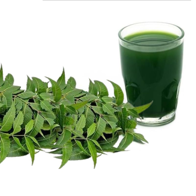 Ramas de neem fresco junto a un vaso de infusión verde de neem