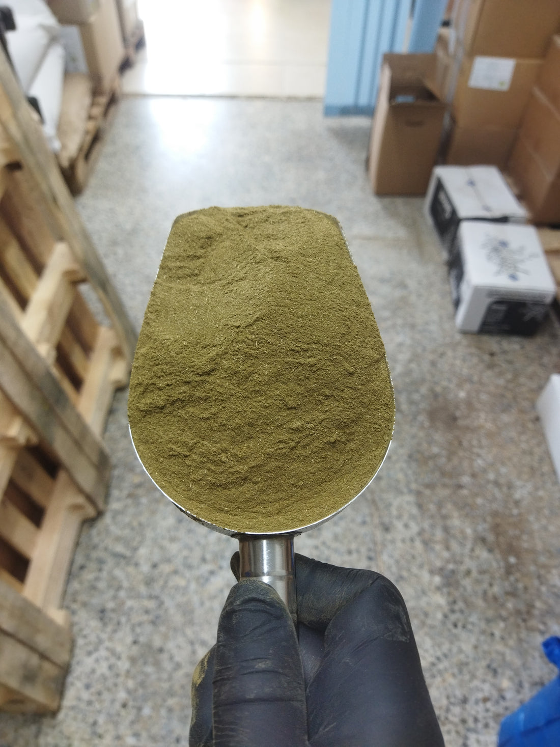 Organic Neem Leaf Powder - 100g