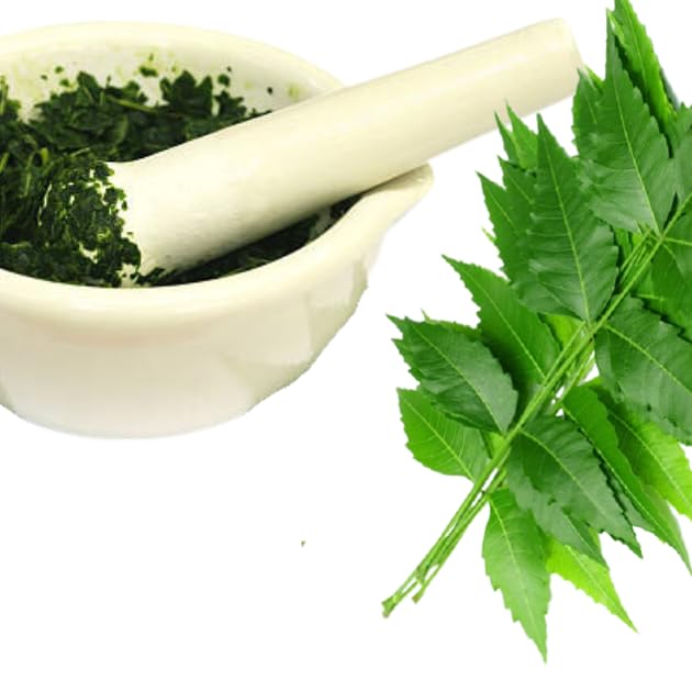 Hojas de neem y mortero con hojas machacadas, preparación tradicional ayurvédica del polvo de neem