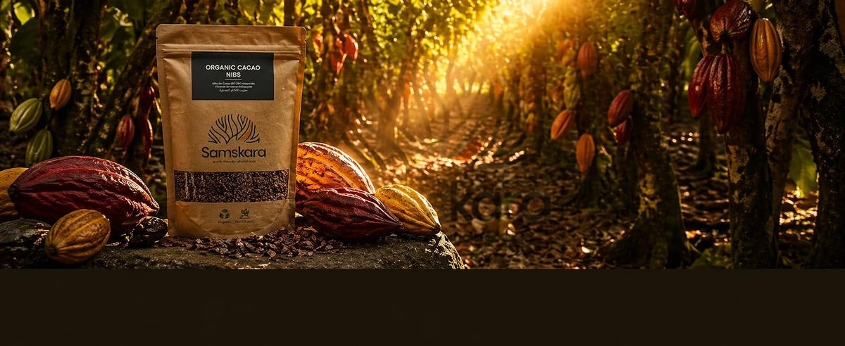 Bolsa de nibs de cacao crudo Samskara junto a mazorcas de cacao en una plantación al atardecer