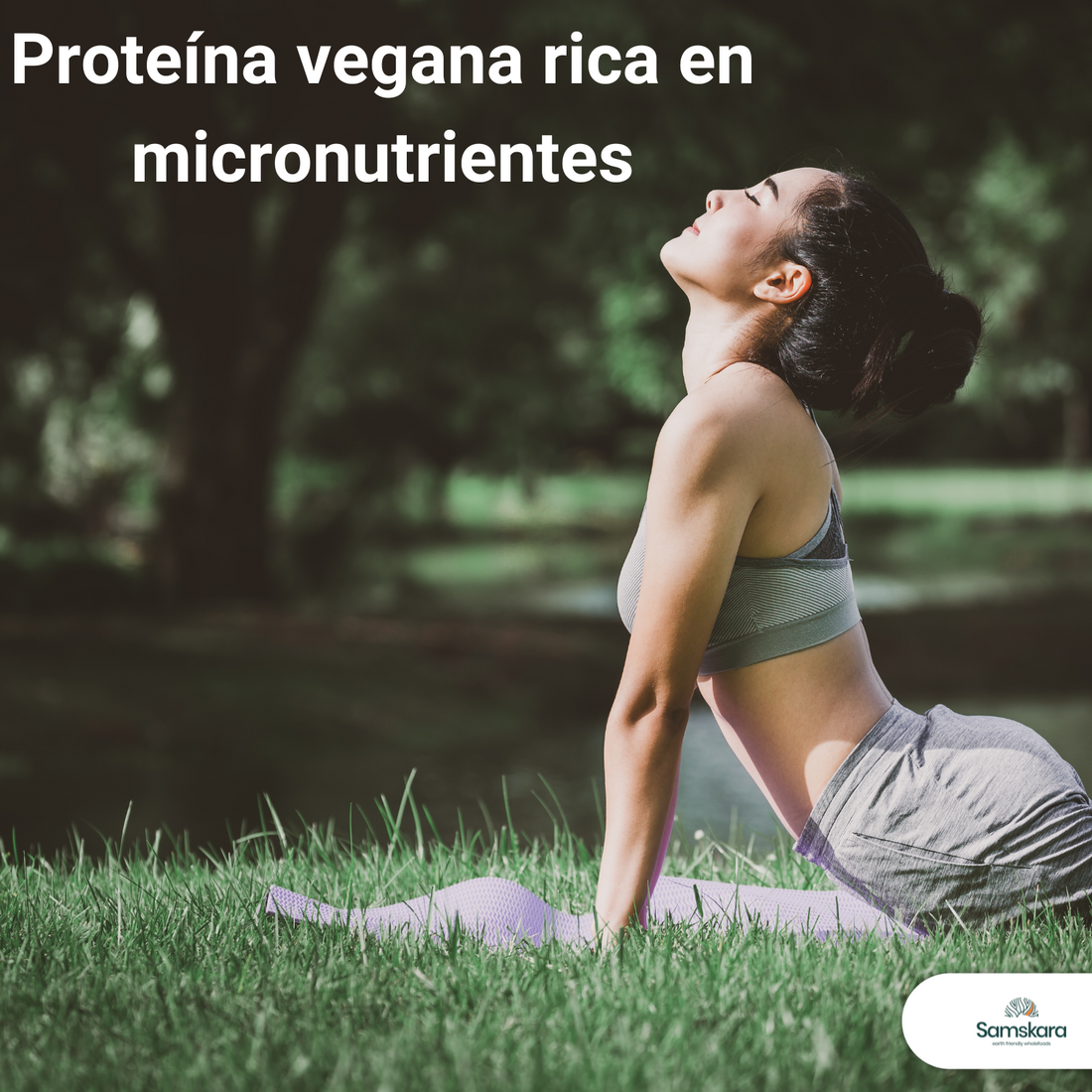 Proteína de Calabaza BIO | Varía tu Proteína Vegetal con Sabor Tostado | Con Magnesio y Zinc Naturales | Samskara