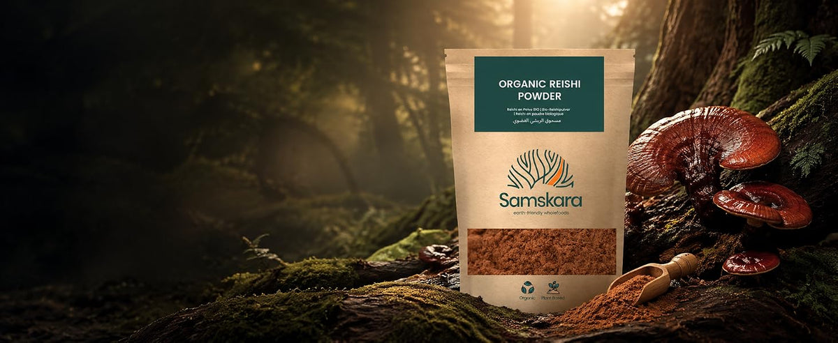 Reishi BIO en polvo Samskara, Ganoderma lucidum de cuerpo fructífero, junto a hongos reishi en un bosque