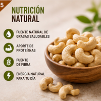 Anacardos Crudos Jumbo Premium - Envasados al Vacío